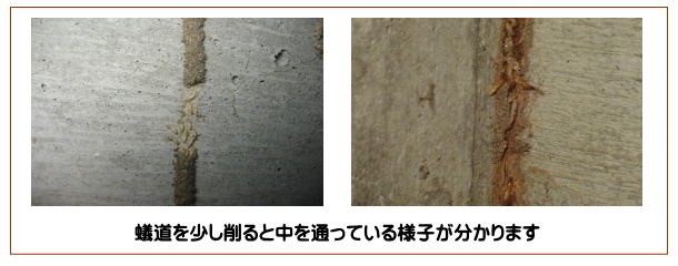 長崎市 シロアリ 改修工事 リフォーム